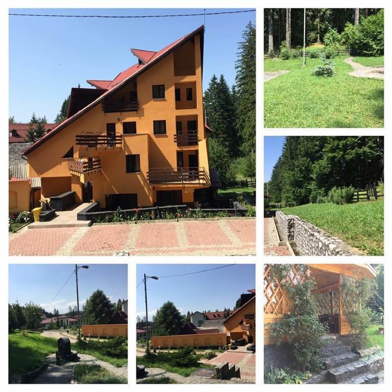 Pensiunea Mihaela Poiana Brasov Bagian luar foto