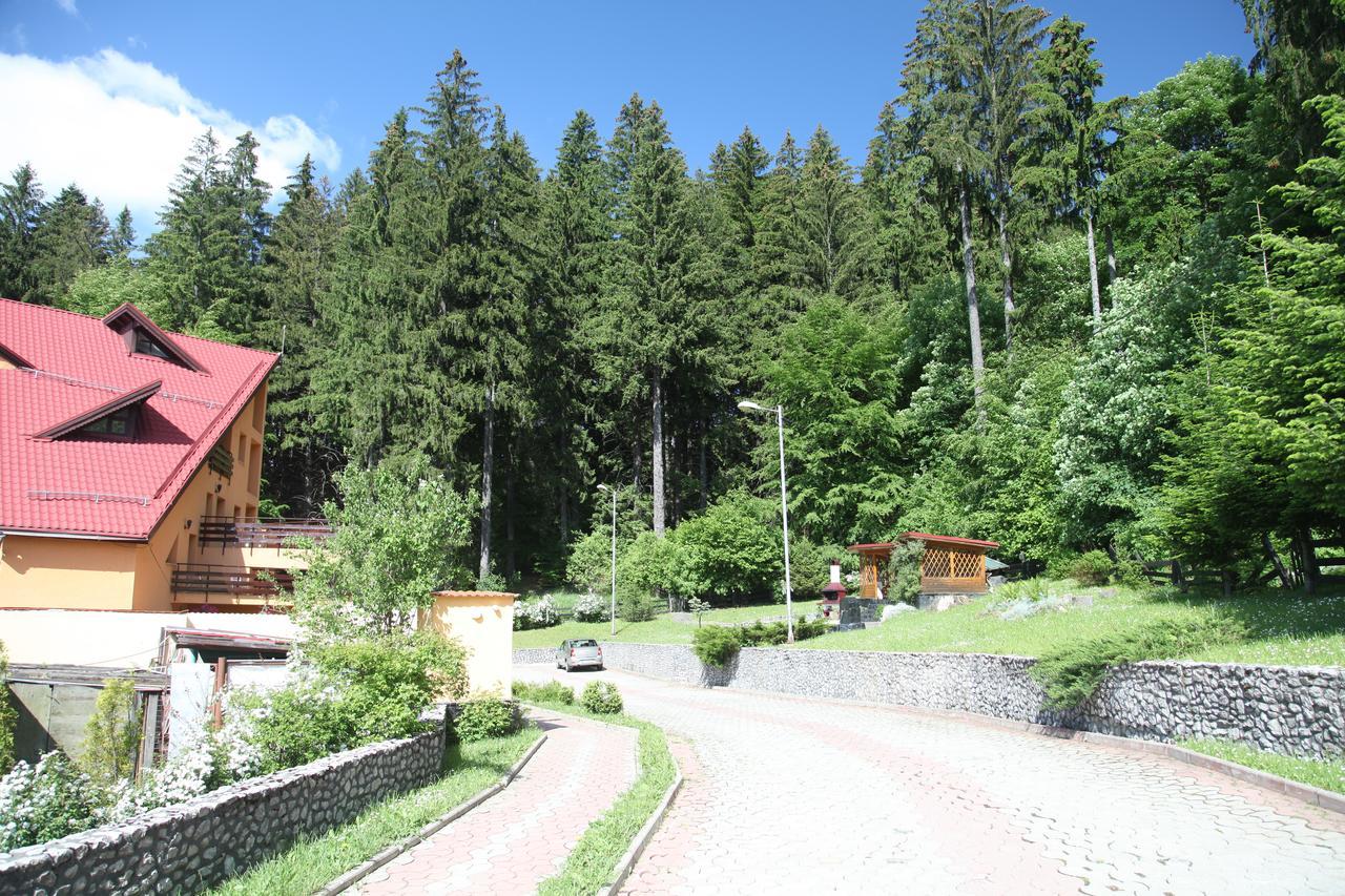 Pensiunea Mihaela Poiana Brasov Bagian luar foto